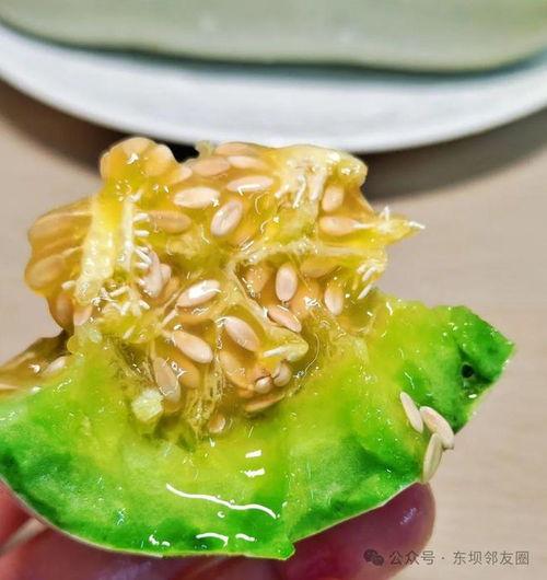 沧州青县吃瓜事件,一场引发热议的网络风波