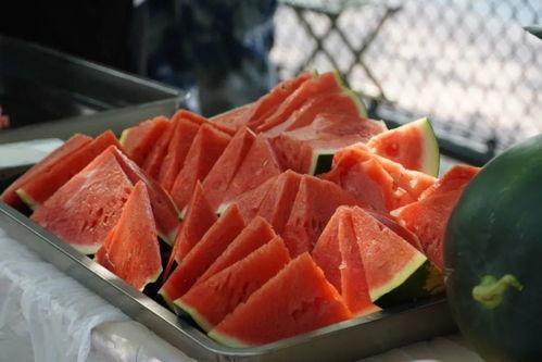 西安外院吃瓜,揭秘校园里的“瓜田”风云