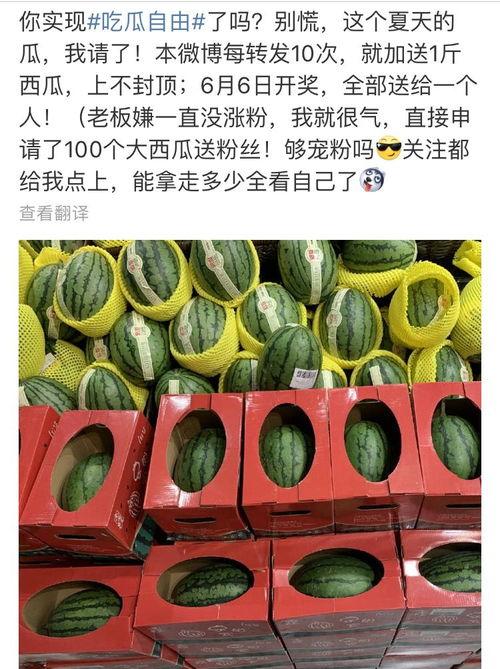 抽奖吃瓜,欢乐无限，惊喜连连！