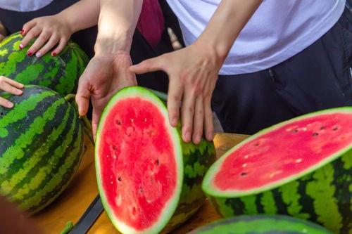 福利免费吃瓜,免费吃瓜盛宴，畅享夏日清凉！