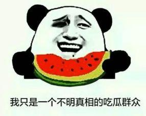 保持吃瓜群众,见证时代变迁的旁观者