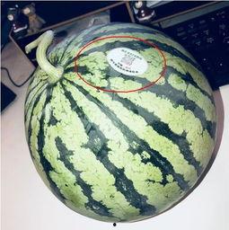 临沧网红吃瓜,揭秘网络红人的幕后故事