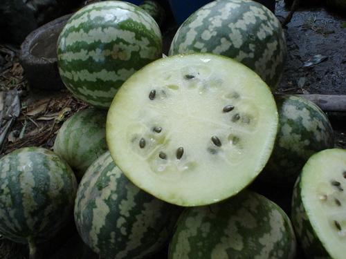 怎么样可以吃瓜,如何轻松成为瓜界高手