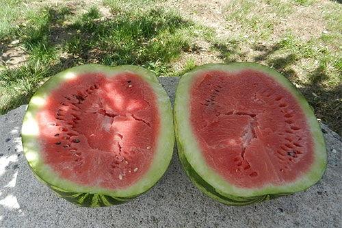 梦到母亲给瓜吃,探寻母亲给予的甜蜜启示