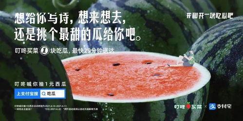 图文作品吃瓜文案,图文作品中的吃瓜文案趣味解读