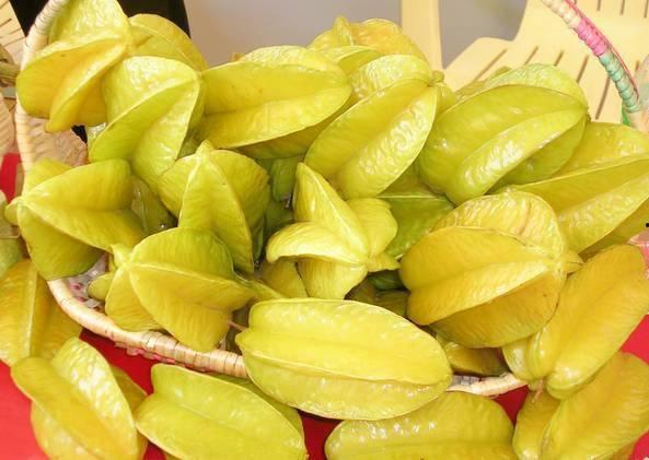 海南杨桃瓜怎么吃,海南杨桃瓜的多样食法探索