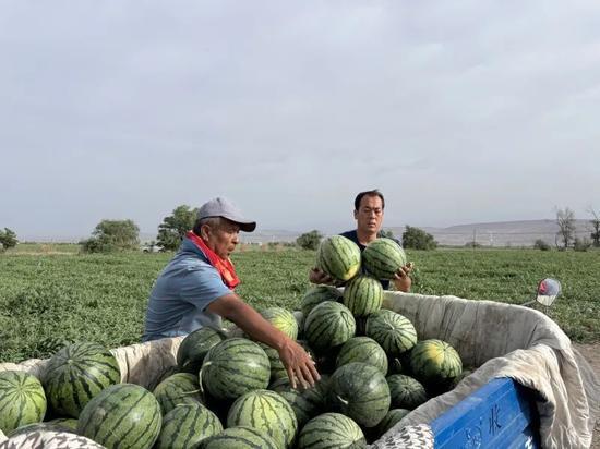 邢台任县天天吃瓜事件,揭秘背后真相与网络舆论风暴