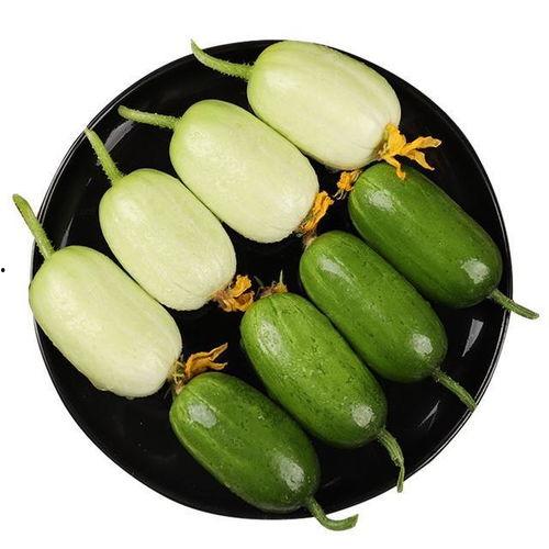 巨型杨桃瓜怎么吃美食,探索美味新境界